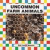 Uncommon_farm_animals