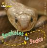 Snakelet_to_snake
