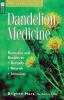 Dandelion_medicine