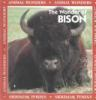 The_wonder_of_bison