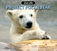 Project_polar_bear