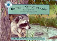 Raccoon_at_Clear_Creek_Road