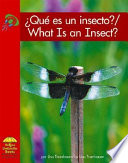 Que_es_un_insecto_