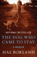 The_dog_who_came_to_stay
