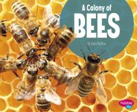 A_colony_of_bees
